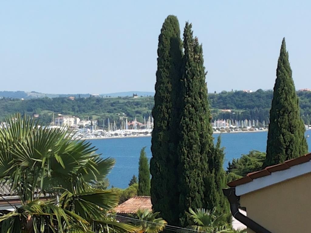 Apartment Solinska Pot Portorož Rum bild